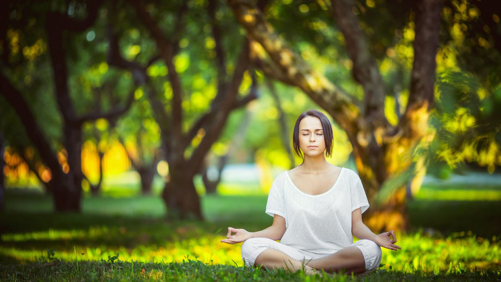 开云入口-双线激战,蓉城夜训、切尔西调整、雄鹿篮板制胜